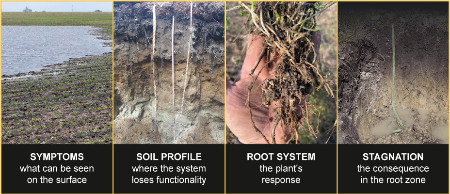 Dr Agro image