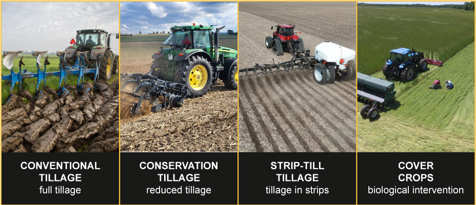 Dr Agro image
